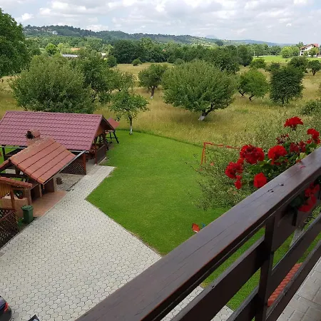 Guest house Pensiunea Din Livada