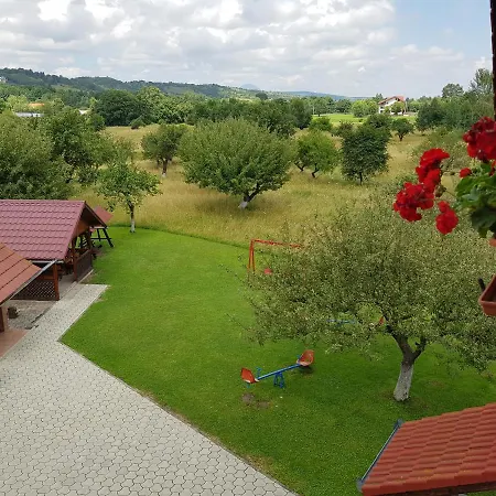 Pensiunea Din Livada Guest house