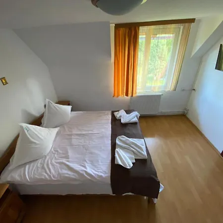 Pensiunea Din Livada Guest house