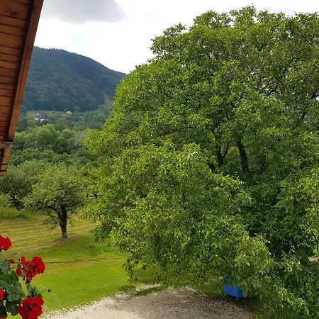 Pensiunea Din Livada Guest house 3*