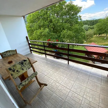 Guest house Pensiunea Din Livada