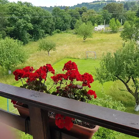 Pensiunea Din Livada Bran (Brasov)