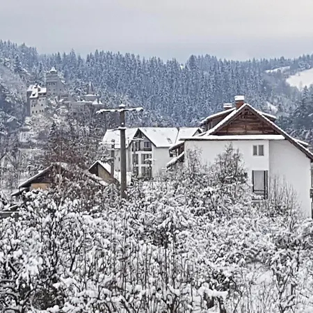 Guest house Pensiunea Din Livada 3*