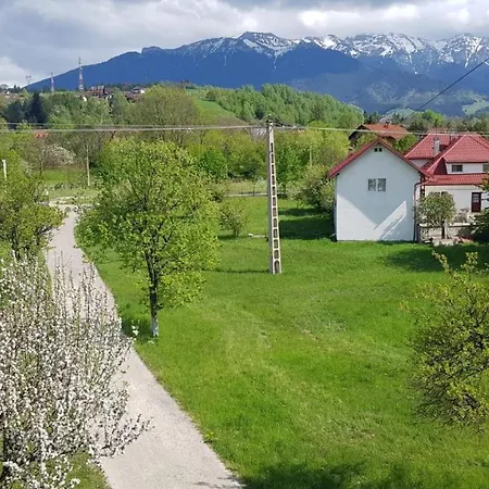 Guest house Pensiunea Din Livada
