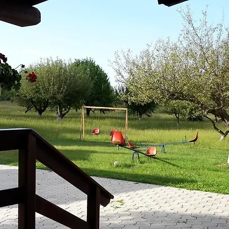 Guest house Pensiunea Din Livada 3*